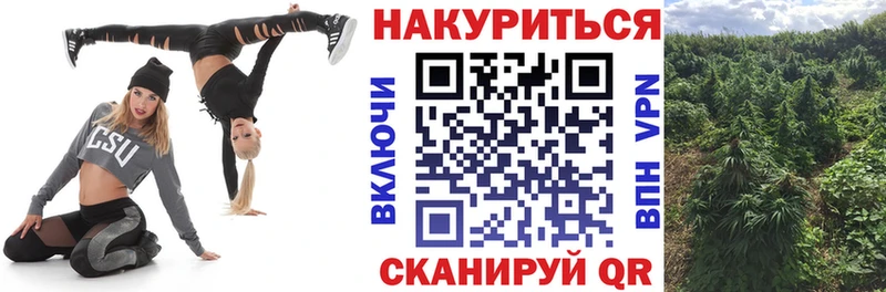 Марихуана сатива  Азов 